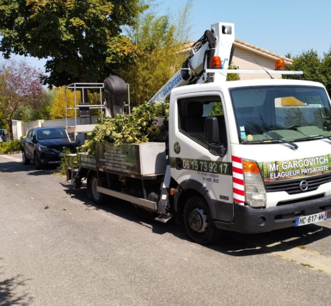 gargowitch espace vert elagage cloture (4)