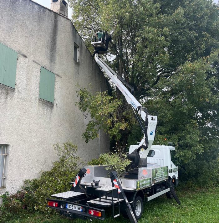 Élagage et enlèvement de branches sur toiture à Arles