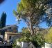 Intempéries à Narbonne : abattage d’arbres en urgence